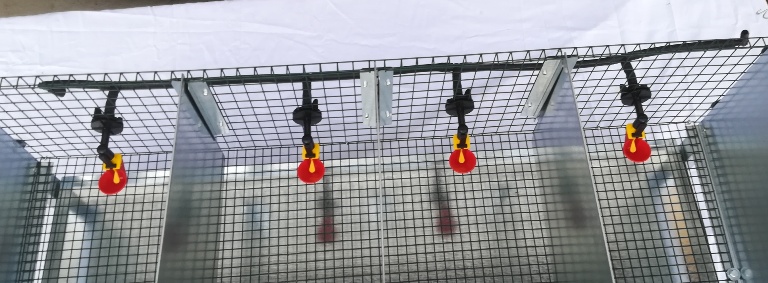 abreuvoir cage cailles